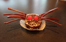 Finished spider cupcake