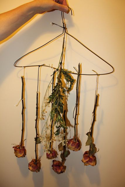 DIY: Dried Roses | Youth Are Awesome
