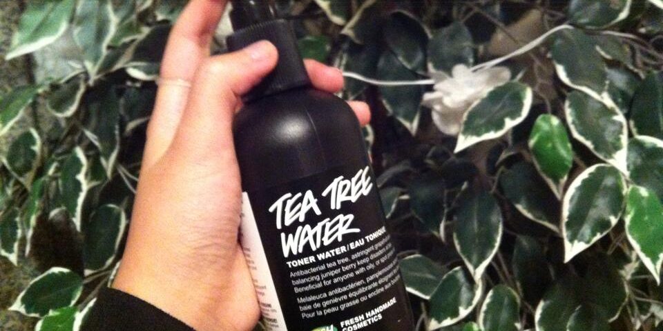 margen korrelat Cyclops Review: Tea Tree Water by LUSH – Youth Are Awesome