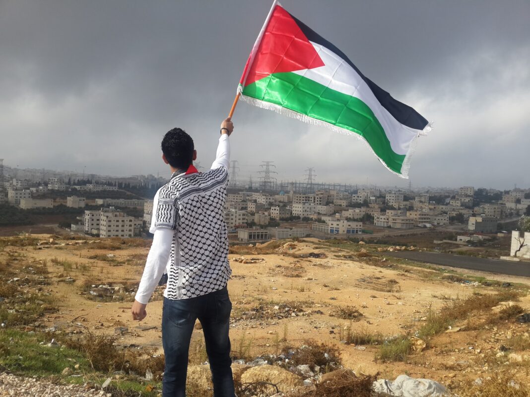 Man waves Palestinian flag in front of a city