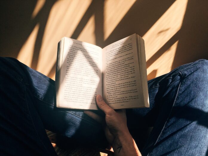 A person reading a novel.