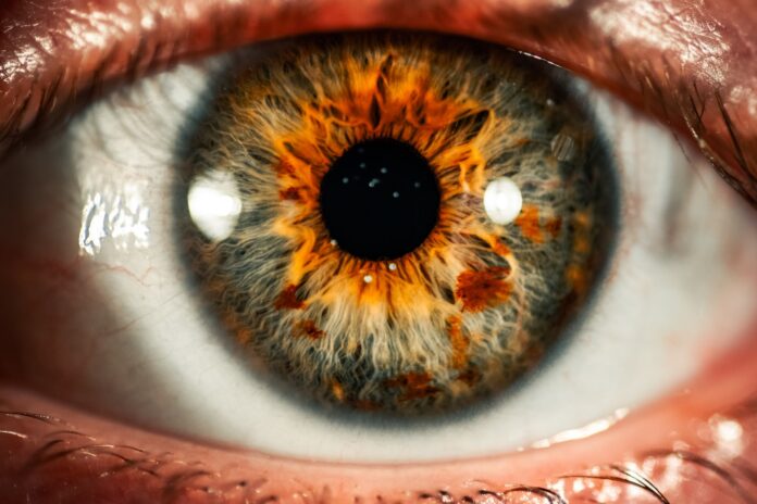 Close up image of a hazel-green eye.