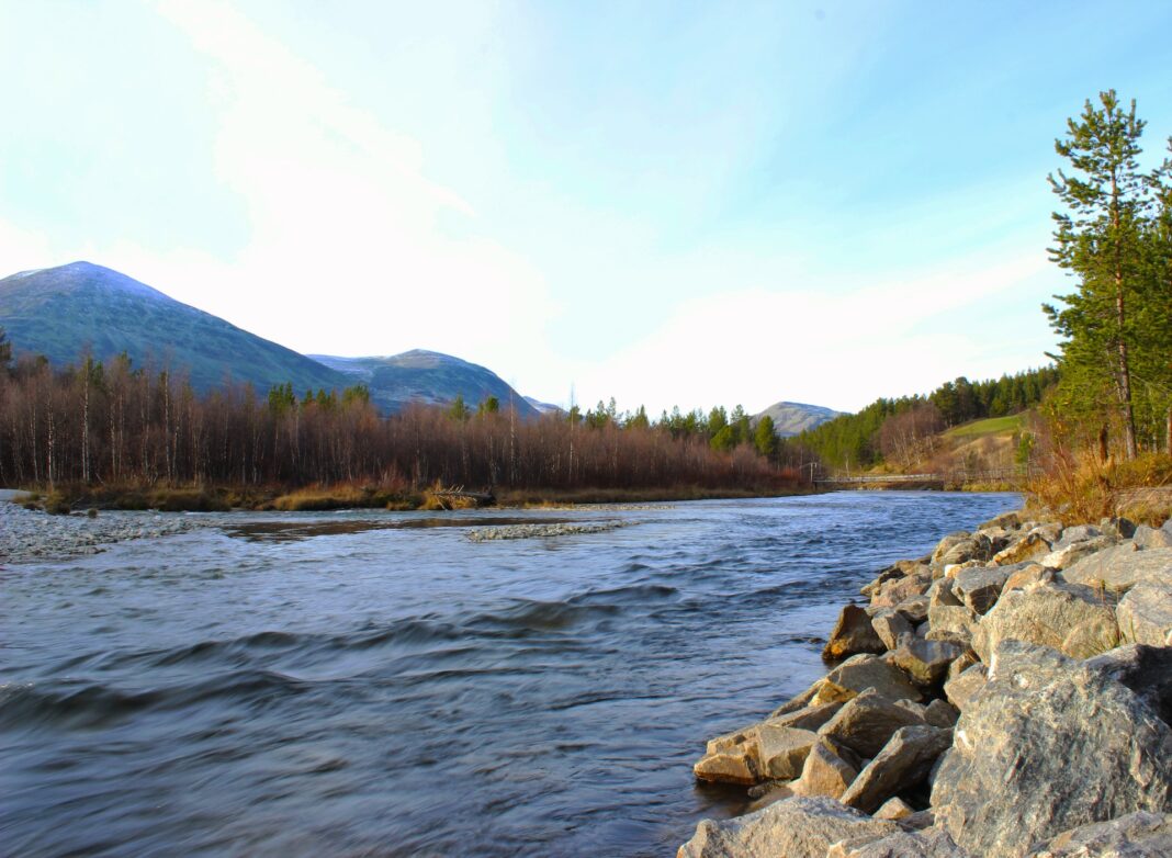 Flowing river surrounded by golden larch trees and mountains