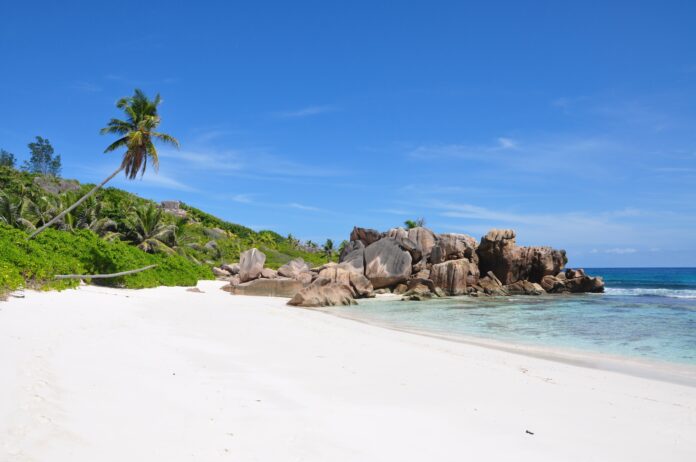 White sand beach with palm trees and large boulders in the background, light blue skies