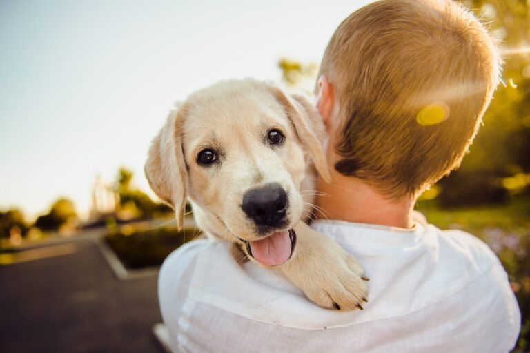 PAWS for Thought: Science Behind the Mental Health Benefits of Pet Ownership