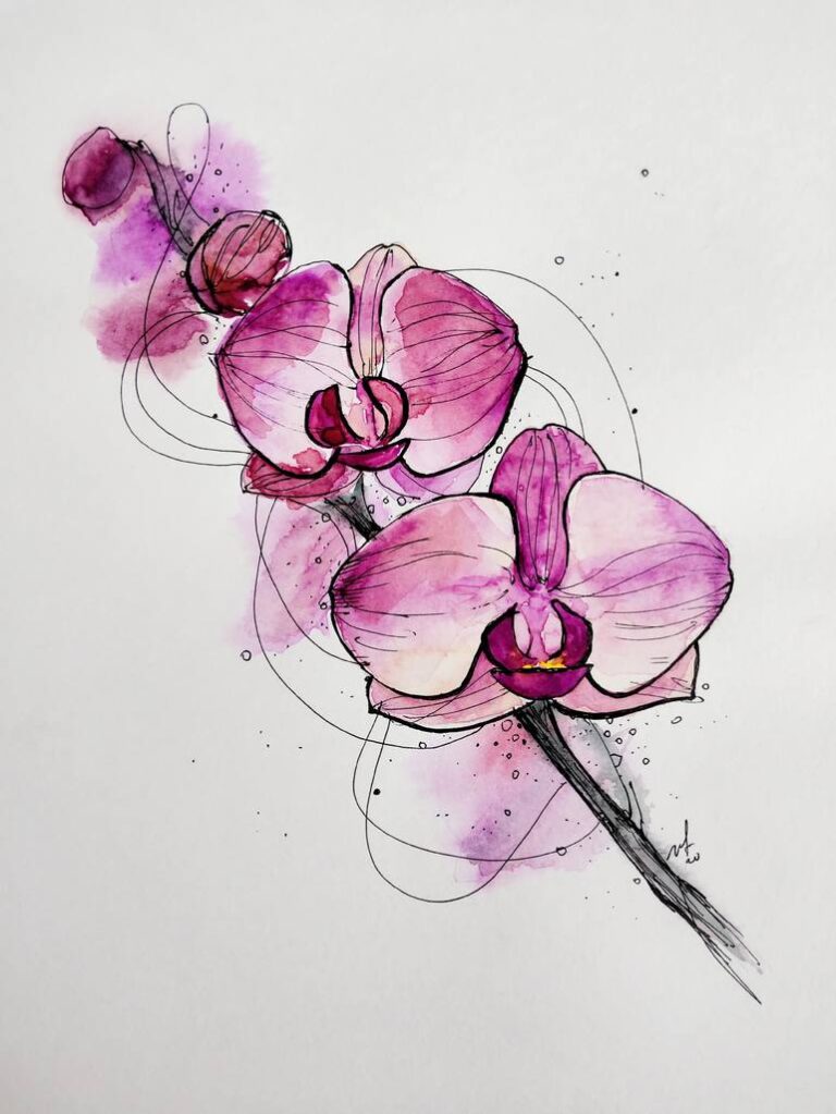 Roots of My Orchid – a Poem