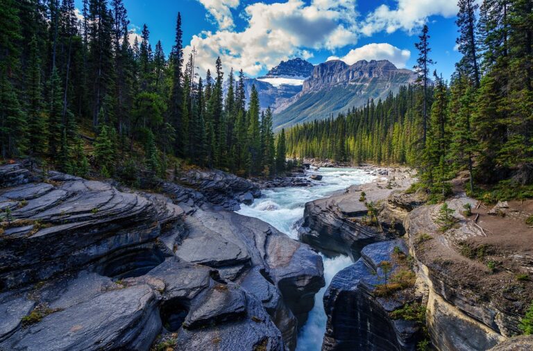 Teenage Summer in Alberta: What do I do?