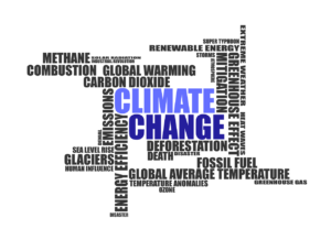 Words that relate to climate change