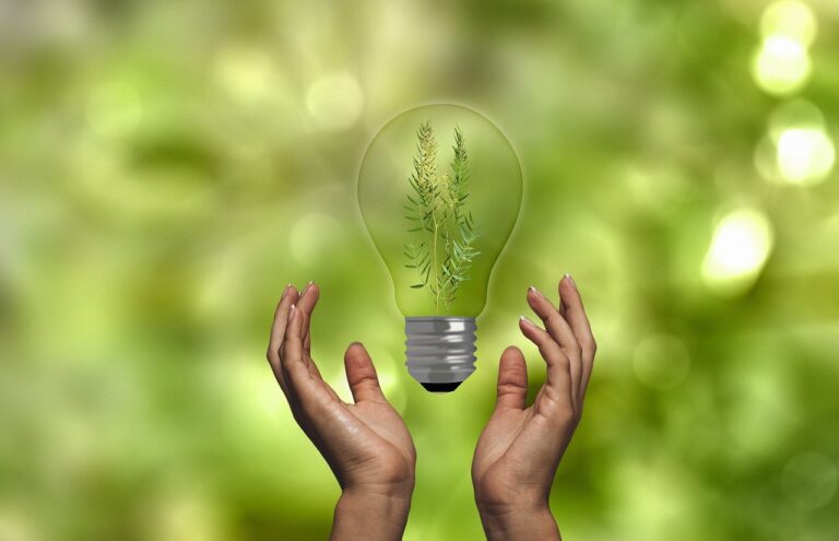 3 Inventions Fighting for Environmental Sustainability