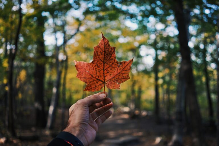 The Power of Voice: Why Freedom of Belief, Opinion, and Expression is Canada’s Most Valuable Right