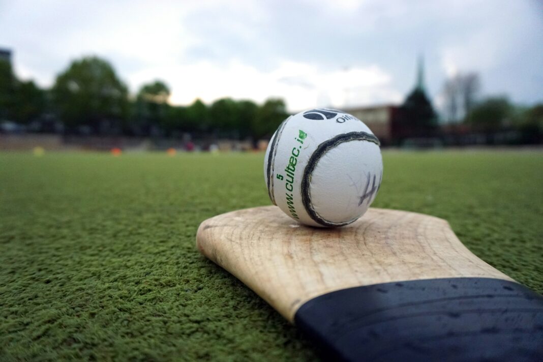 A picture of the hurling ball and stick, on a green field