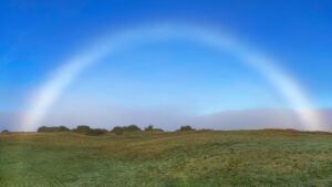 A fogbow over an open field