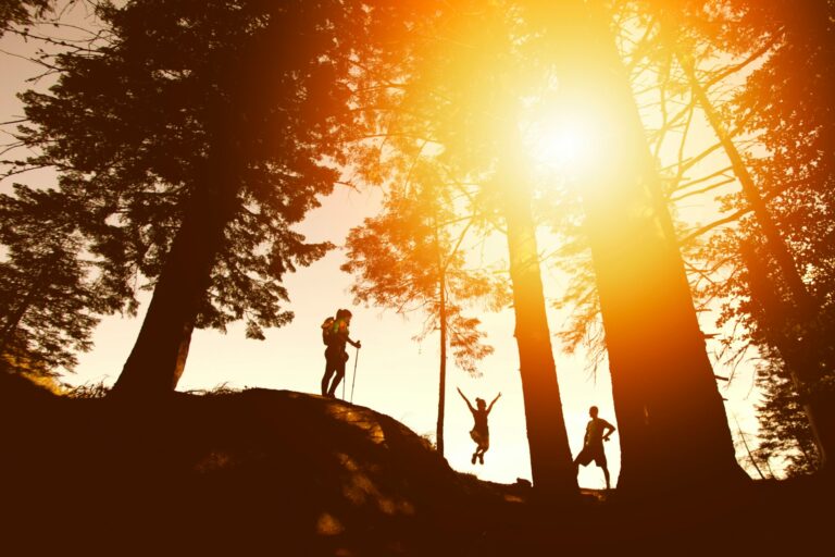 Photo of 3 hikers in a forest at sunset