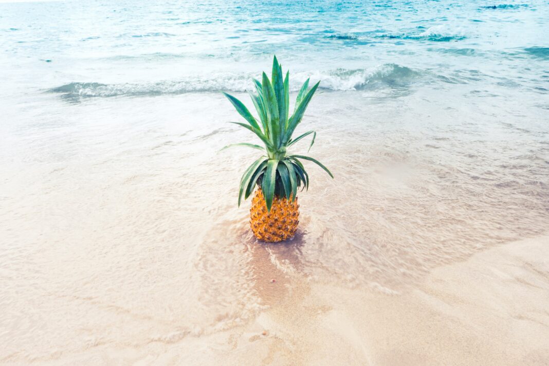 pineapple on sunny beach