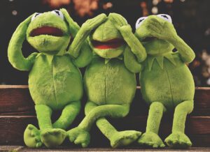 Kermit frogs do not want to see bad habits
