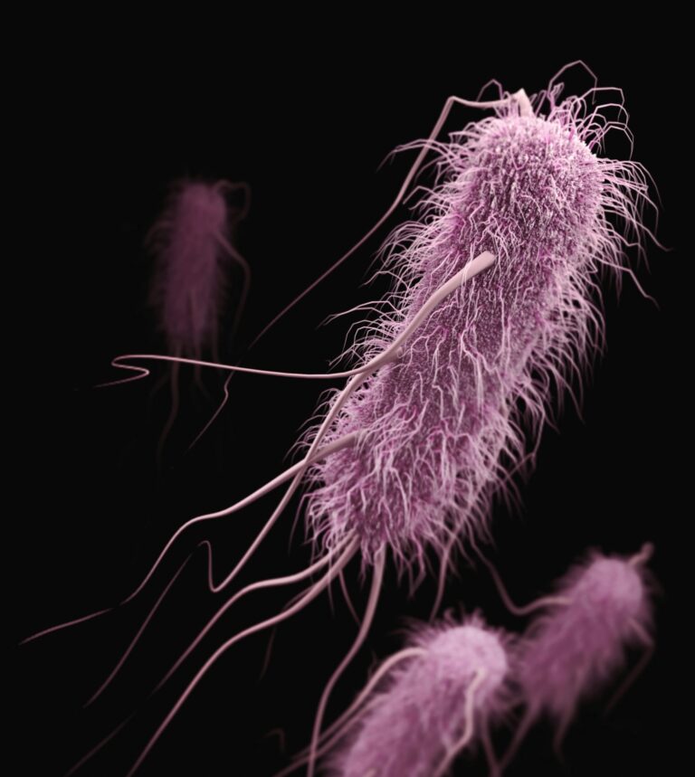 Prophages: How Bacteria Can Get Sick