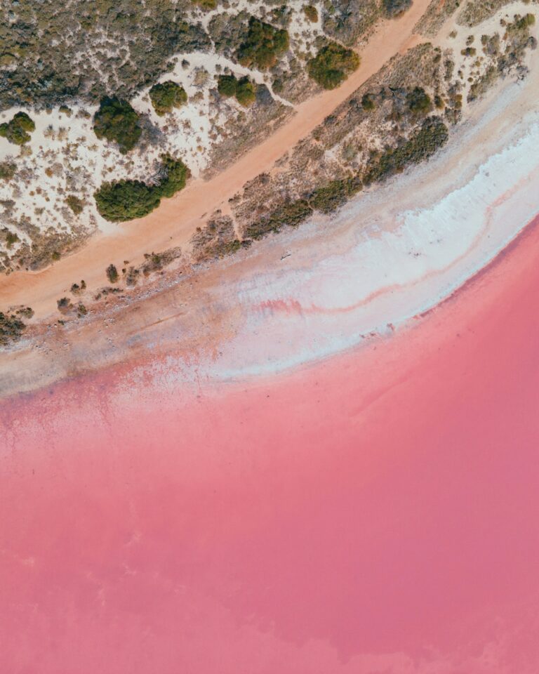 Pink Lakes: Nature’s Most Instagrammable Scene