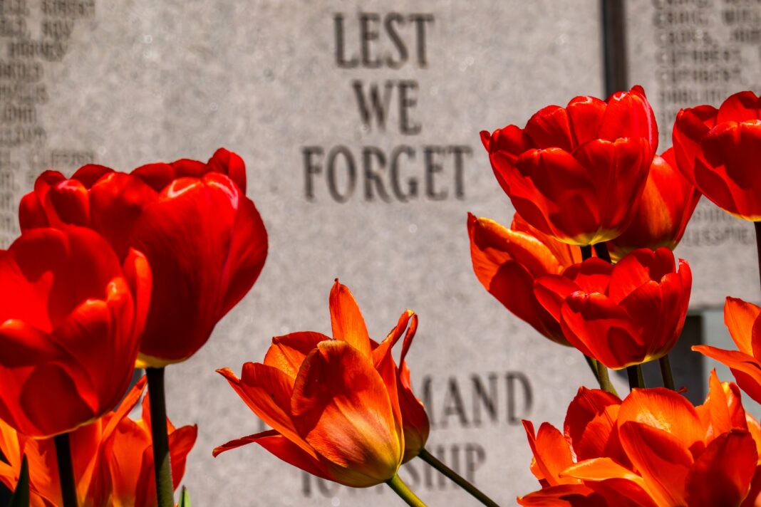poppies blooming with "LEST WE FORGET" in background