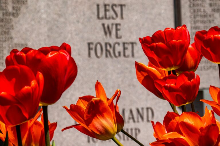 poppies blooming with "LEST WE FORGET" in background