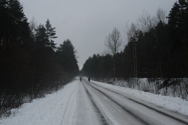 You’re Not Alone: Gentle Ways to Distance Yourself From the Winter Blues