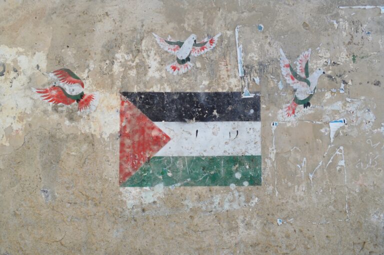What Palestine Reveals About Democracy