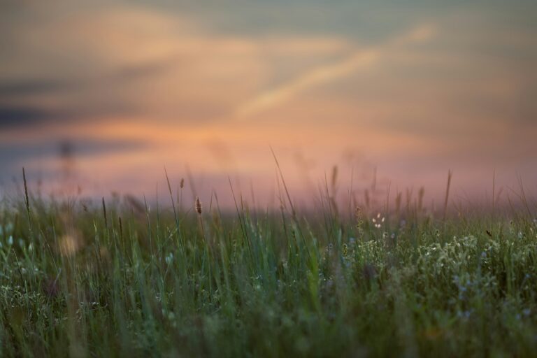 The Intricacies of Monday: A Poem