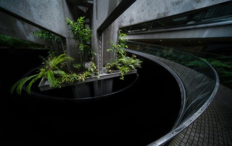 The Quantum Garden: How Plants Hack Physics to Eat Light