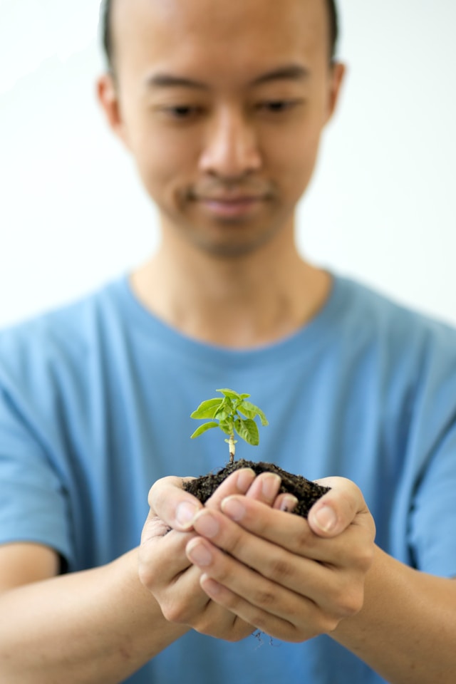 A man holding a small plant in his hands - Free Green Image on Unsplash