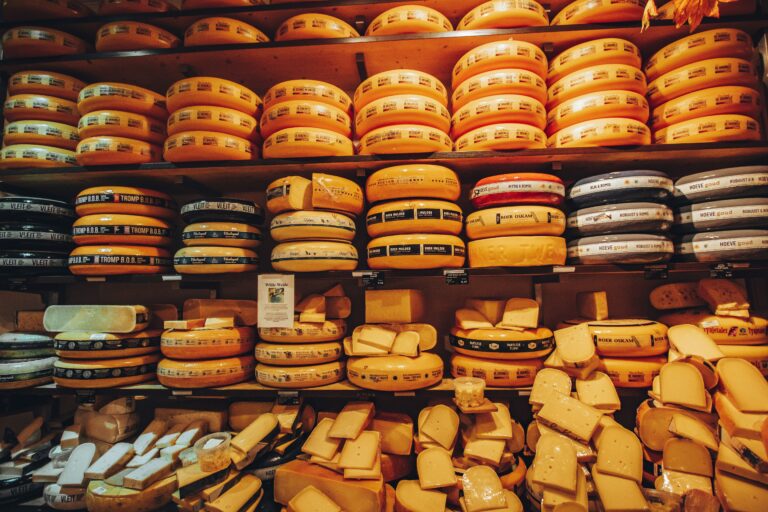 From Stomach Pouches to Pizza: A History of Cheese