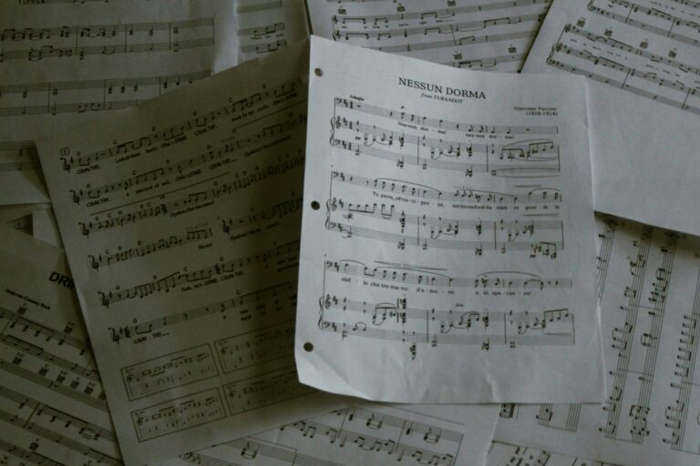 The Art of Memorizing Music Quickly