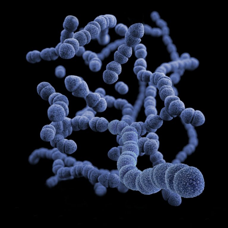 The Bacteria That Eat Plastic: Nature’s Cleanup Crew