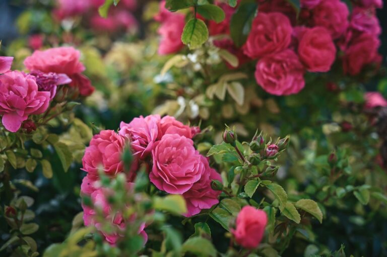 Happy Mother’s Day!